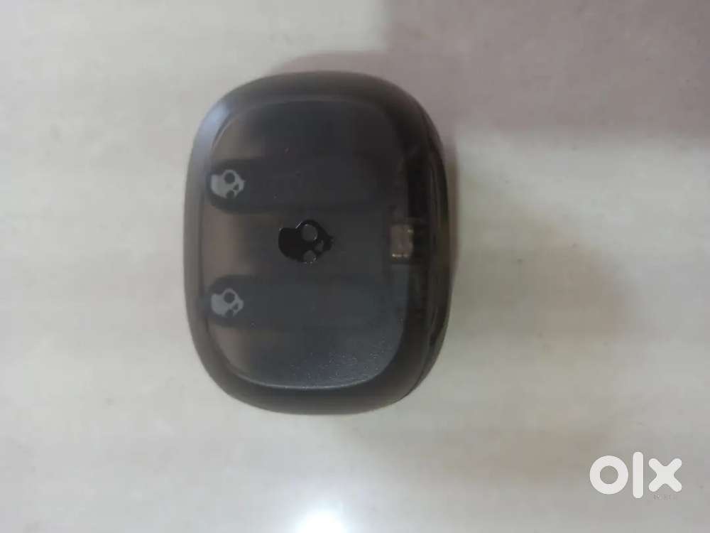 Skullcandy Smoking earbuds