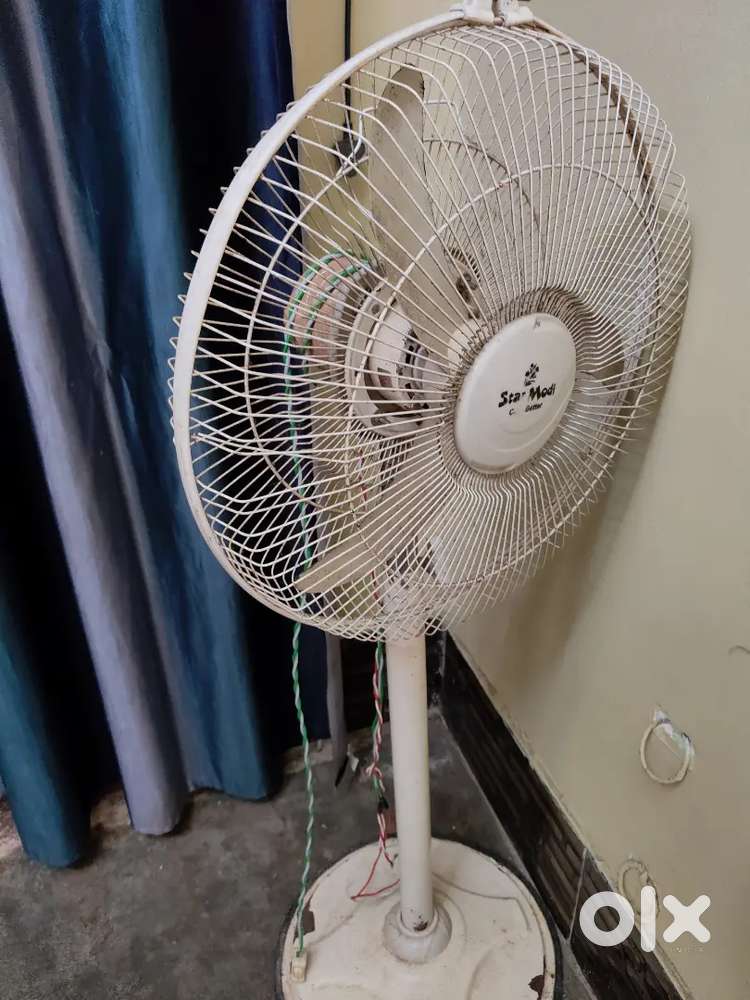 Fan  Modi star