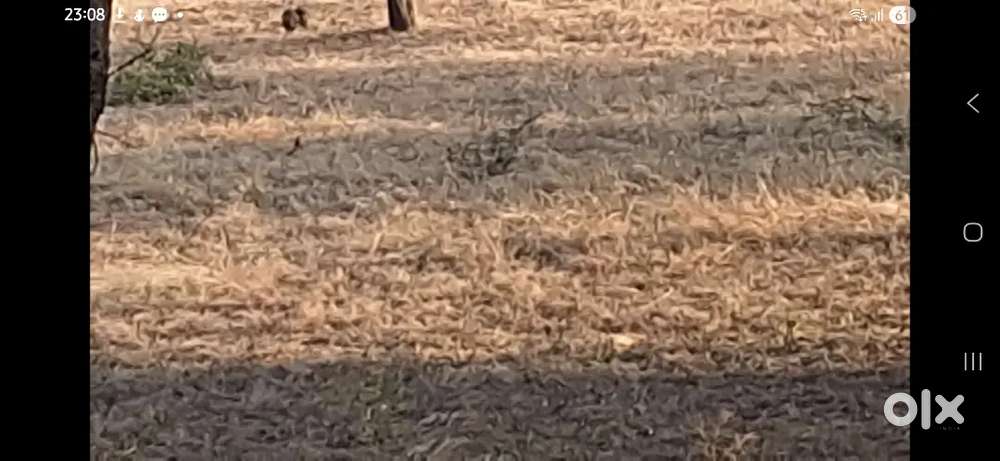 Main rcc road plot behind Mandapam