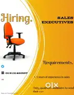Sales executive