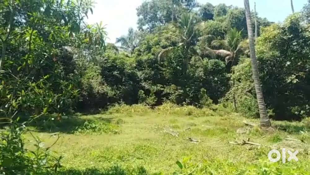 53 cent near Cherthala