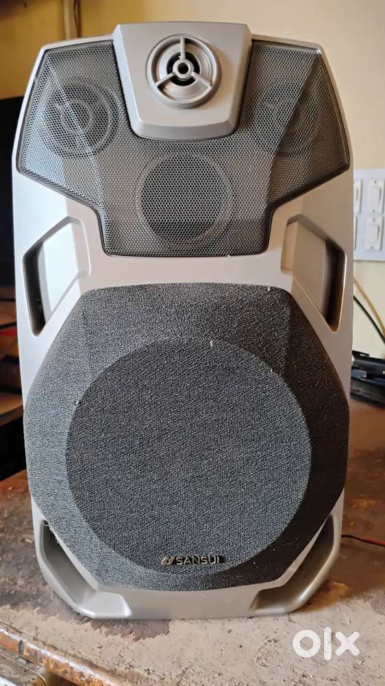 6 inch 100 watts speakers