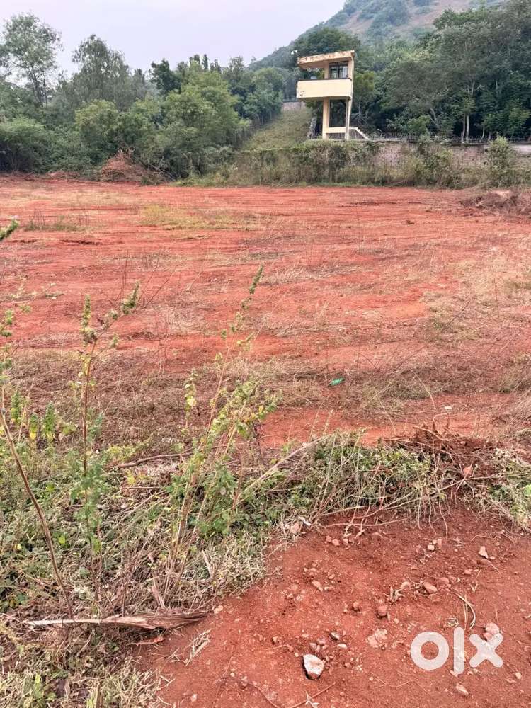 అగ్రికల్చర్ ల్యాండ్ 25 సెంట్స్ వాడచిపురుపల్లి మెయిన్ రోడ్డు