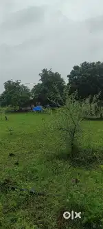 Plot 23*30