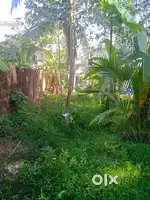 Selling 7.5 cente plot near parapram, pinarayi