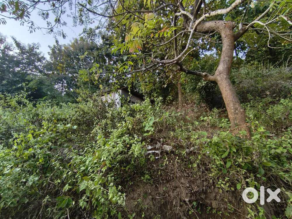 For sale plot hill area