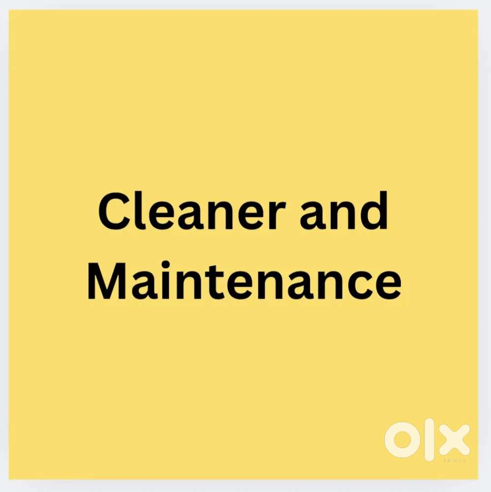 Cafe Cleaner and maintenance