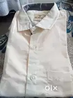Casual biscuit color Men's cotton shirt good quality