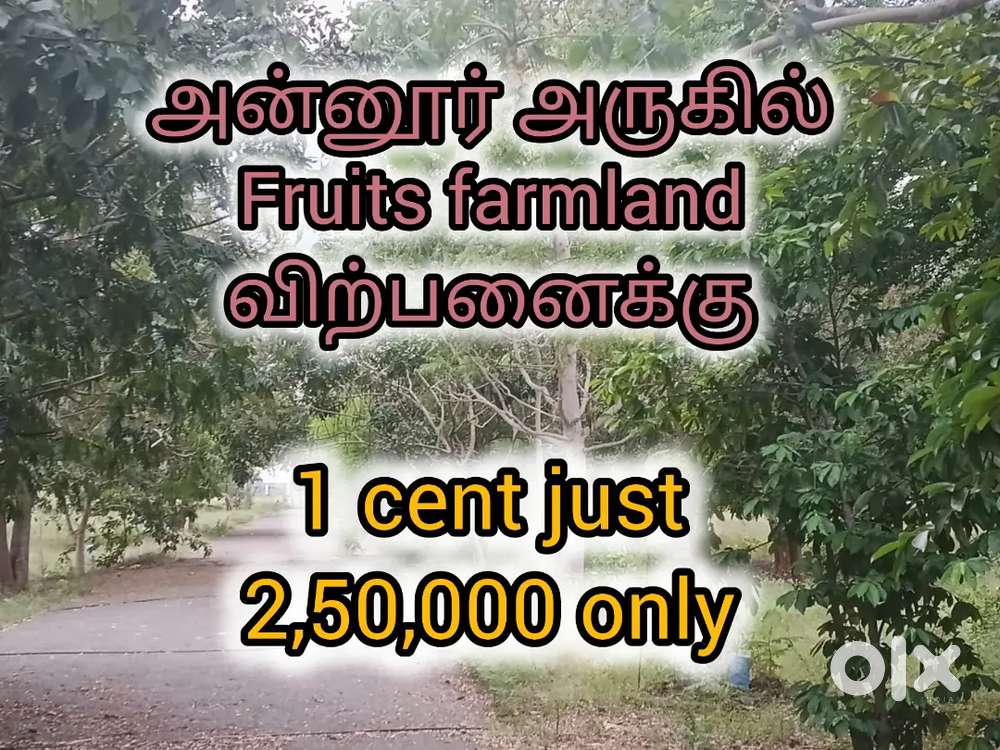 Fruits farmland sale in sathy road