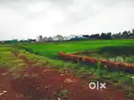 Plot for sale