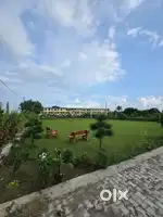 दिल्ली रोड जीरो पॉइंट होलीडे रेजि॑सी के पास गेटेड सोसायटी मैं प्लॉट