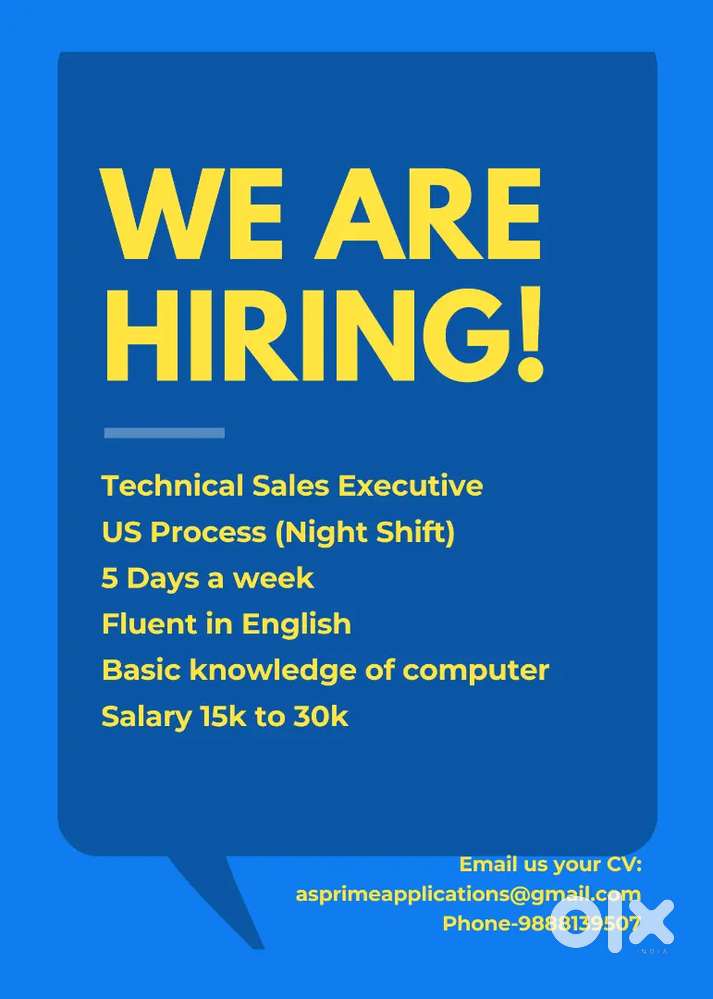 Looking for candidates with good english to deal with American Clients