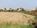 Land 12 VIGHA GIR FROM JUNAGADH 26 KM