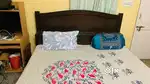 Double Bed for sale - well maintained with best price
