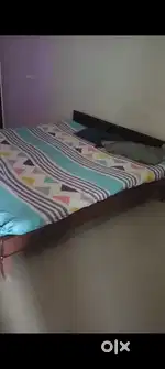 Newly built luxury pg at colony road