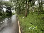 1 ACRE TOURISM-FRIENDLY COFFEE LAND FOR SALE NEAR THOLPETTY