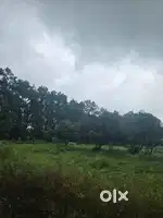Forest View Plot for Sale – Dhaulas, Dehradun