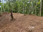 12 cent land sale /1.5 land