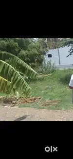 Good House Building Area