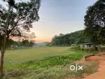 7 bigha agricultural land for sale in sonapur