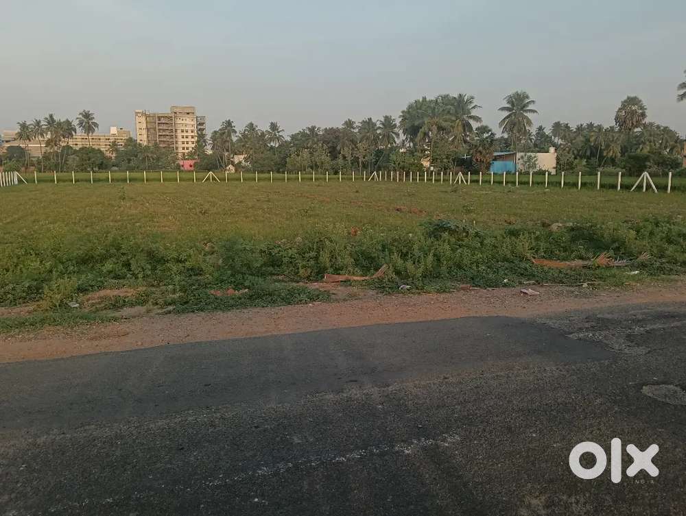 25000 qr ft காலி மனை