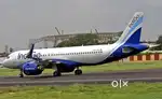 Job in indigo airlines 2025
