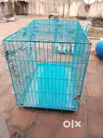 Cage 36 inch blue colour