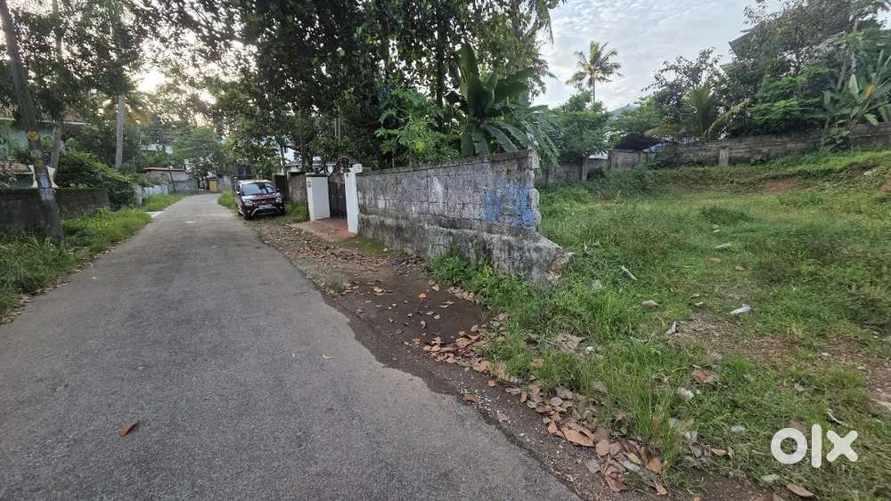 Kazakootam chandavila mangatukonam main road near plot 6.5 cent