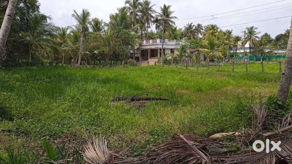 Ideal Plot in a Peaceful Location – Urgent Sale