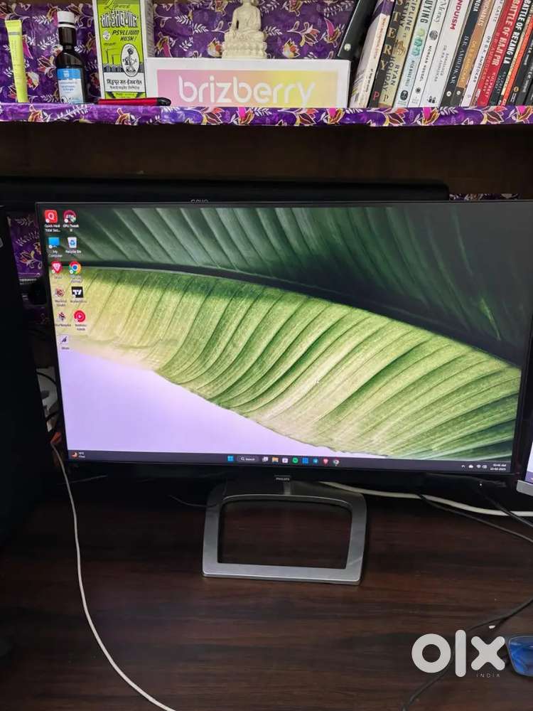 Moniter with curved display