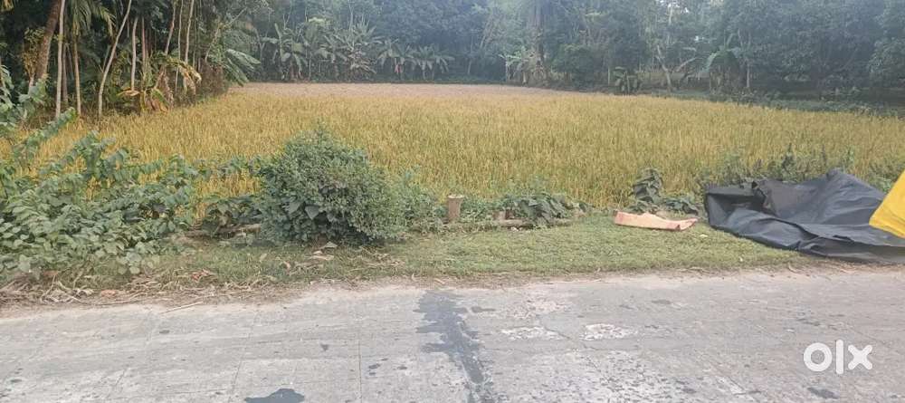 Land for sell at Hasnabad barunhat