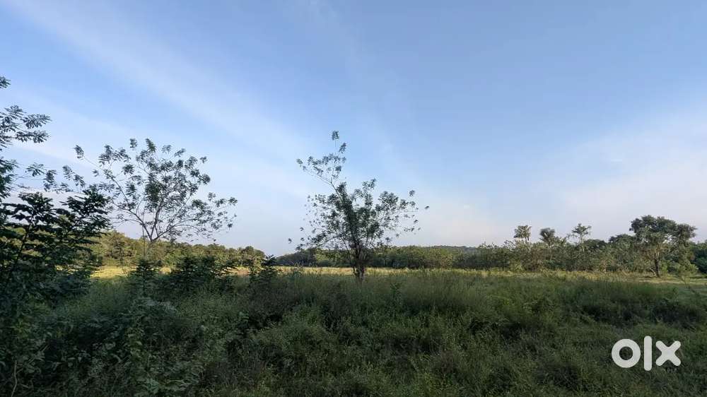 This land offer is ideal for buyers seeking a peaceful Home