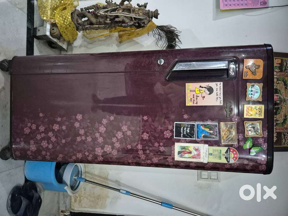 Whirlpool, Single-door, Stand included