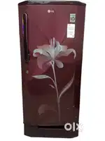 LG, 215L, 5- star,direct cool maroon floral Design Excellent Condition