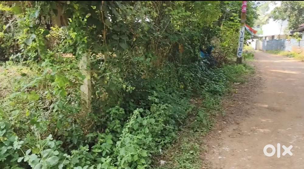 10 cent plot for sale Thekkepotta