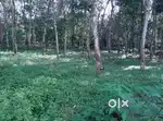Plot for sale