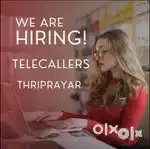 customer care executive