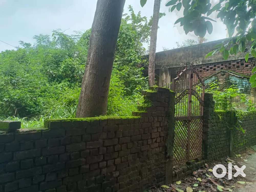 Railway Bangalapara PLOT SALE RAIGARH