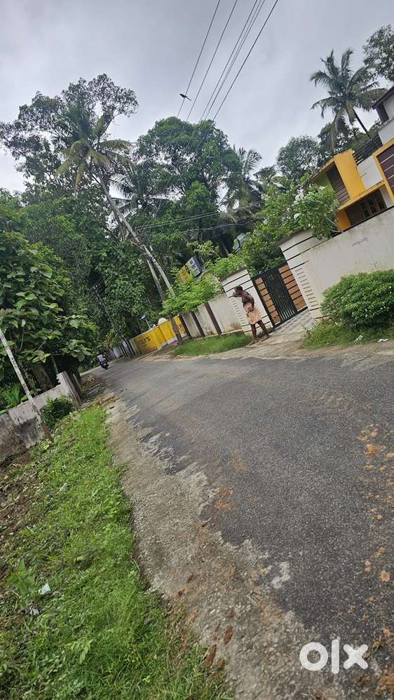 38 cent square plot for sale near Plavila Junction