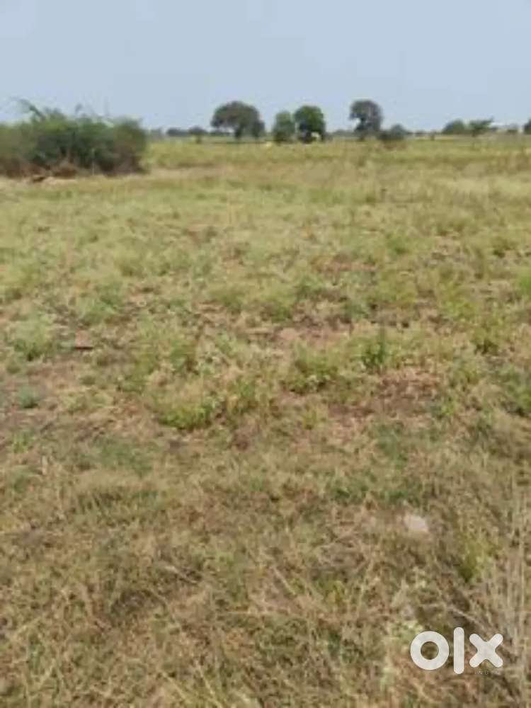 Plot For Sale