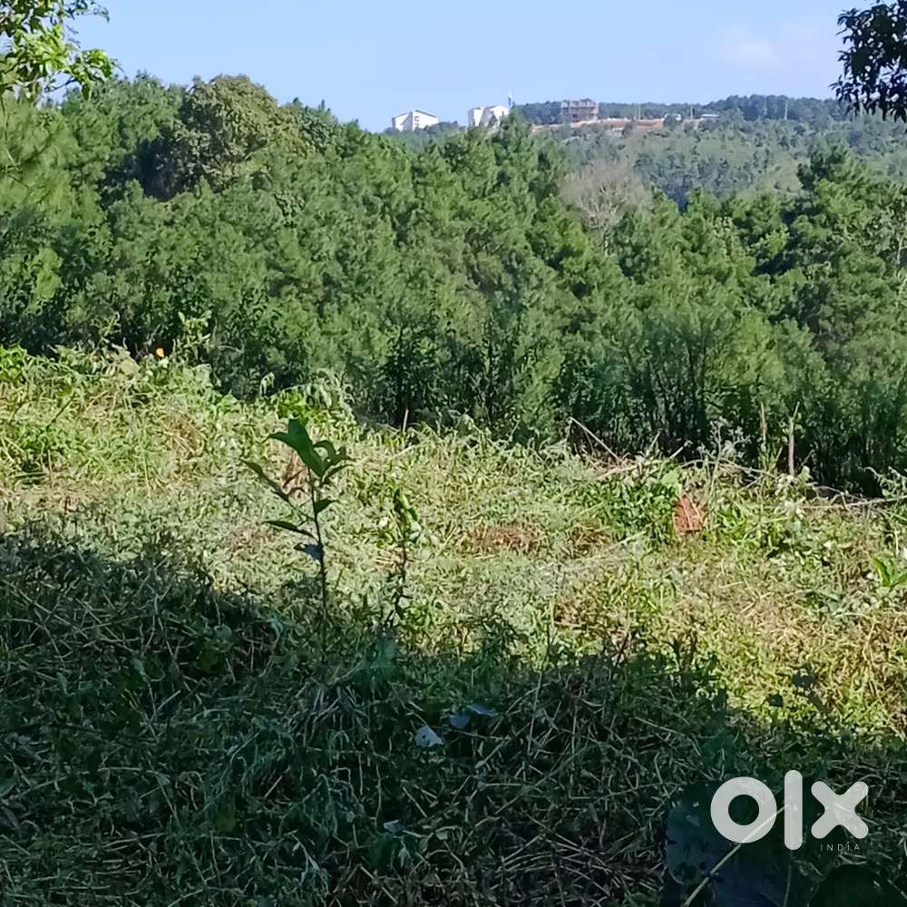 Mawlong New Shillong
