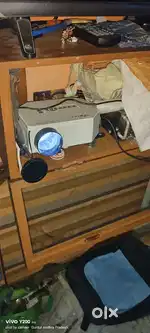 V bear projector