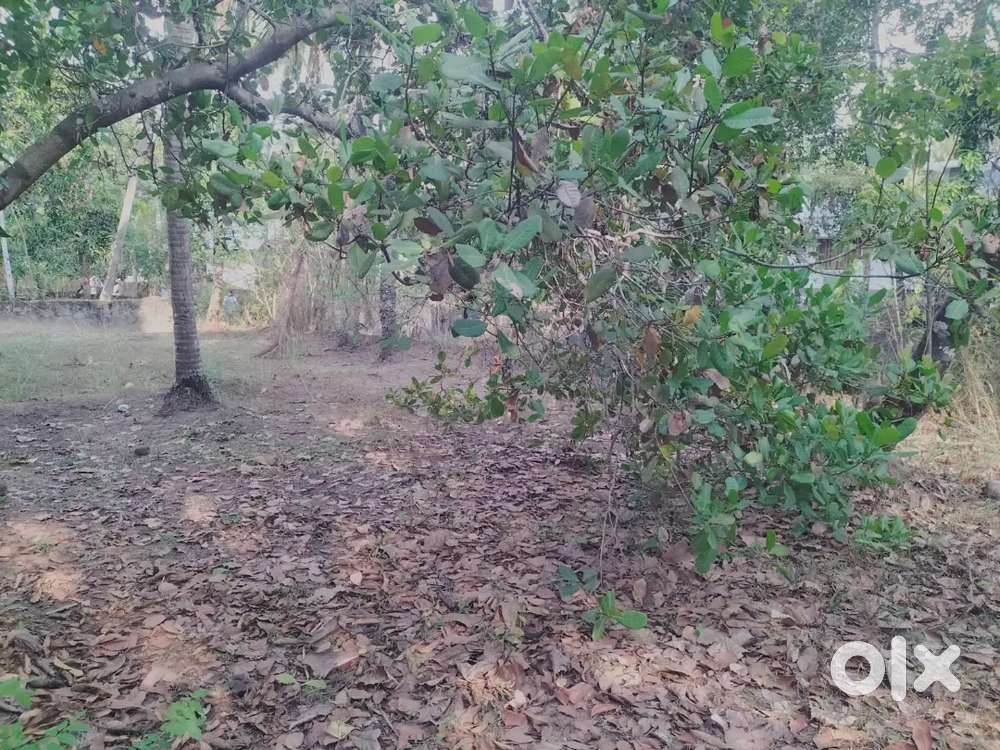 10 cent plot road side