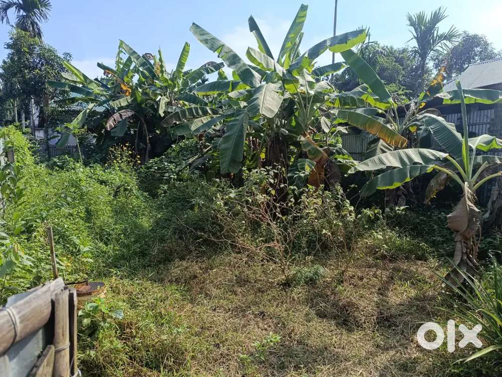 2.5 gonda plot with 17 feet broad road in Amtali
