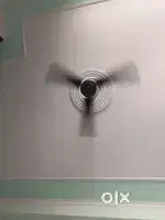 Fan are available