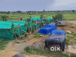 Two wheel Rikshaw for cart