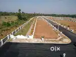 Plot for Sale in Bhogapuram Highway