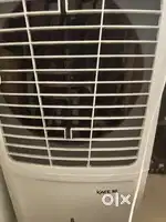 3 months old cooler kace 80 havells