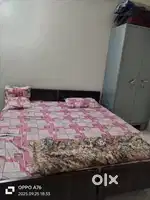 Need girl ma