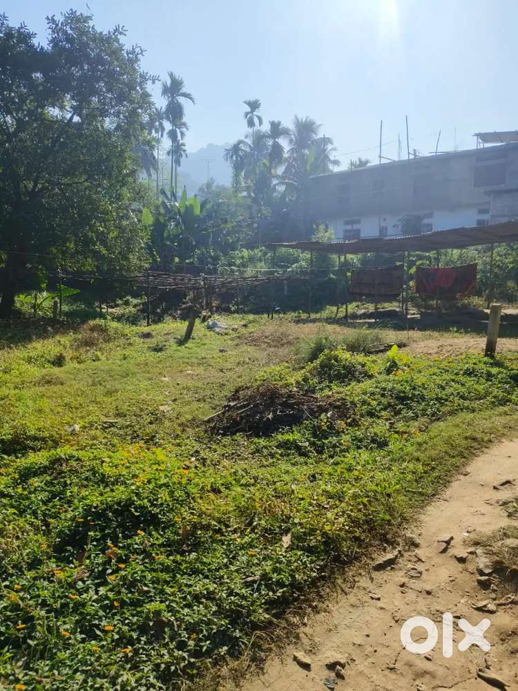 1kotha eksoniya guwahati narengi birkuchi